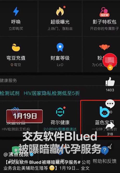 娱记娱乐吃瓜,娱记吃瓜大作战，明星幕后故事全曝光！